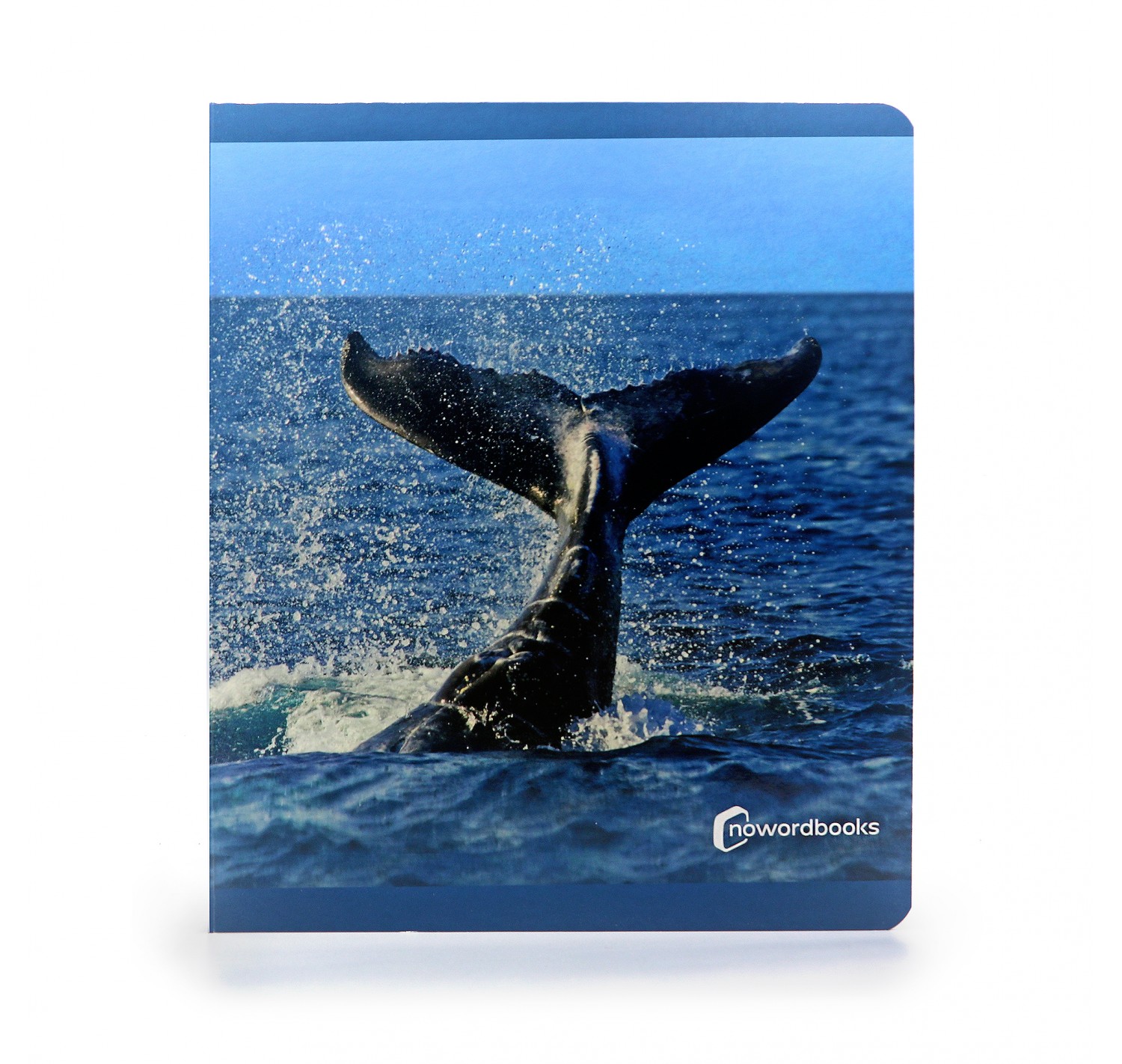 Imagen de Animales del mar (Libro gran formato)