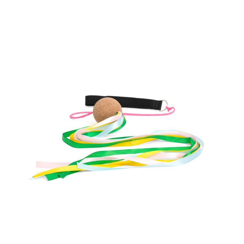 Imagen de Cintas de baile Poi Sling