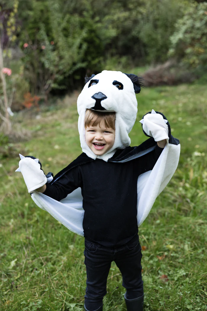 Imagen de Capa de panda