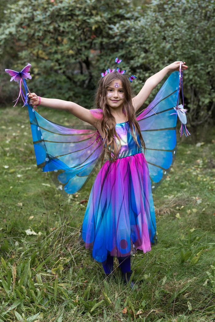 Imagen de Disfraz de Mariposa