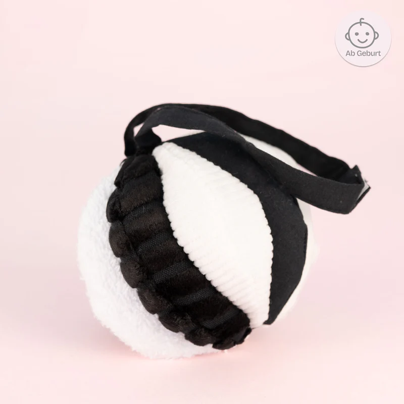 Imagen de Pelota de alto contraste
