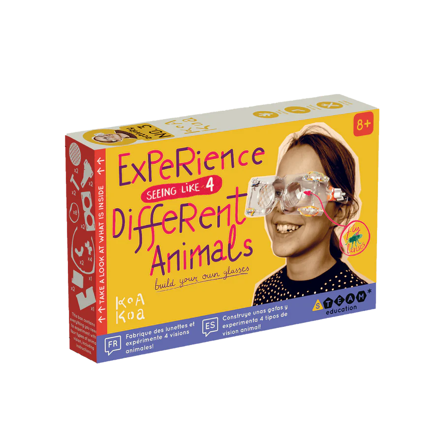 Imagen de Kit de actividades "Construye unas gafas y experimenta 4 tipos de visión animal"
