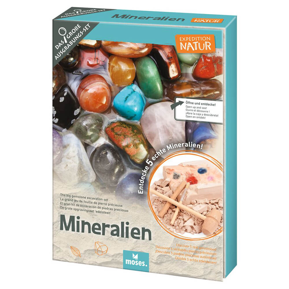 Imagen de Set de excavación minerales