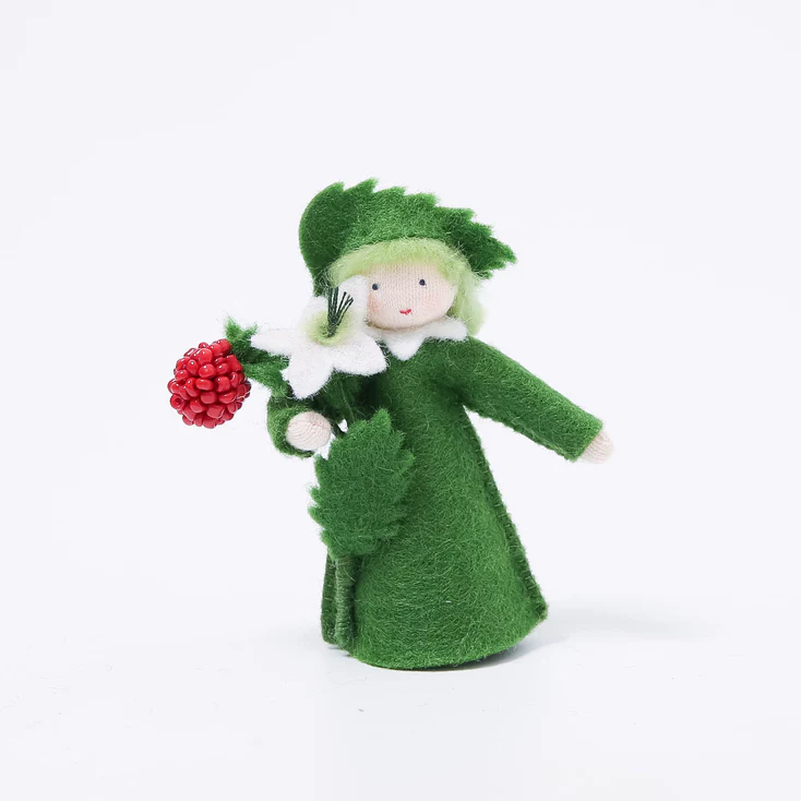 Imagen de Hada de la flor "Niño Frambuesa"