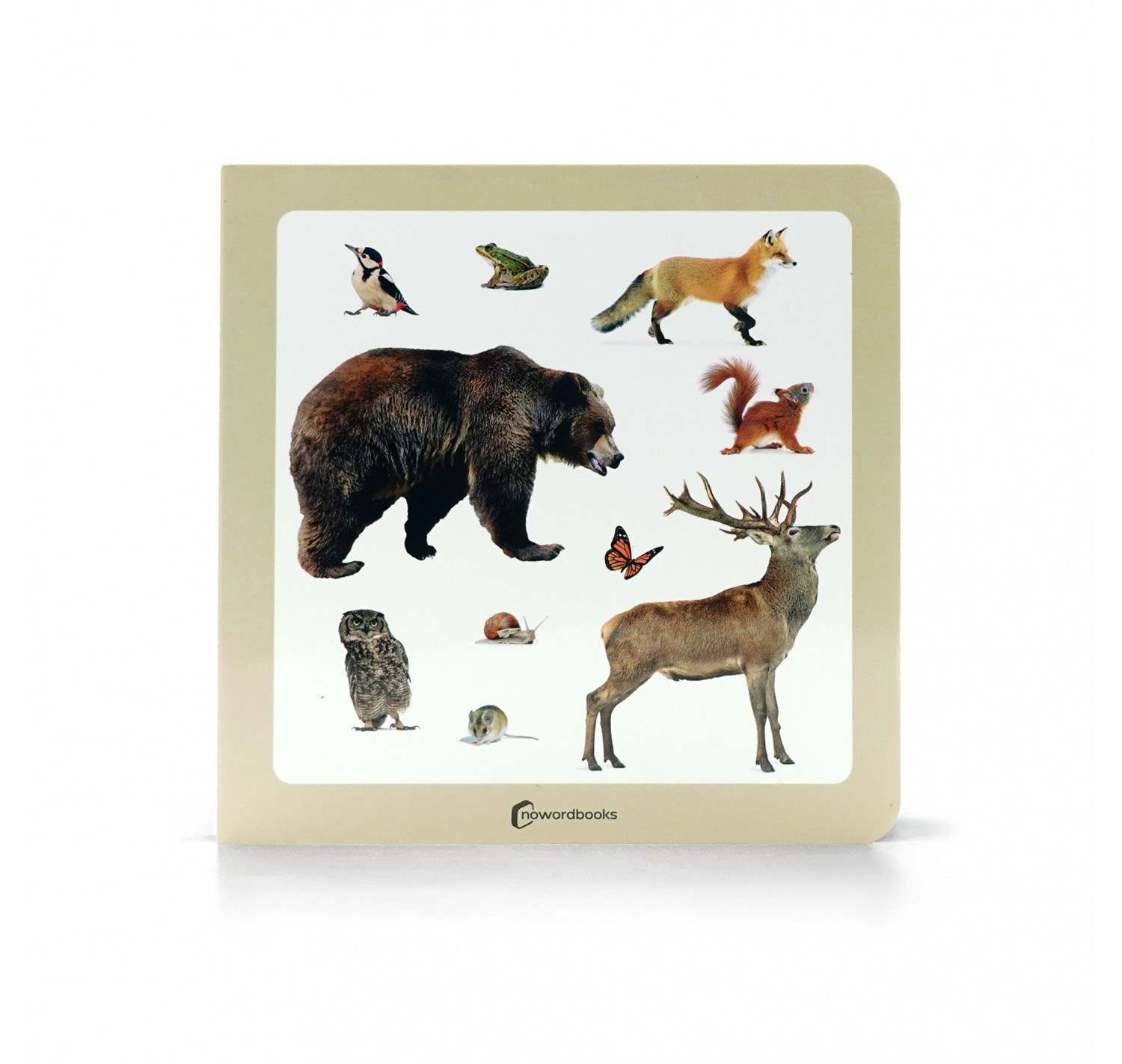 Imagen de Animales del Bosque 2