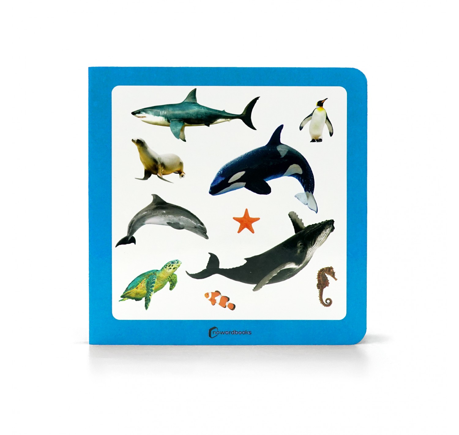 Imagen de Animales Marinos 2
