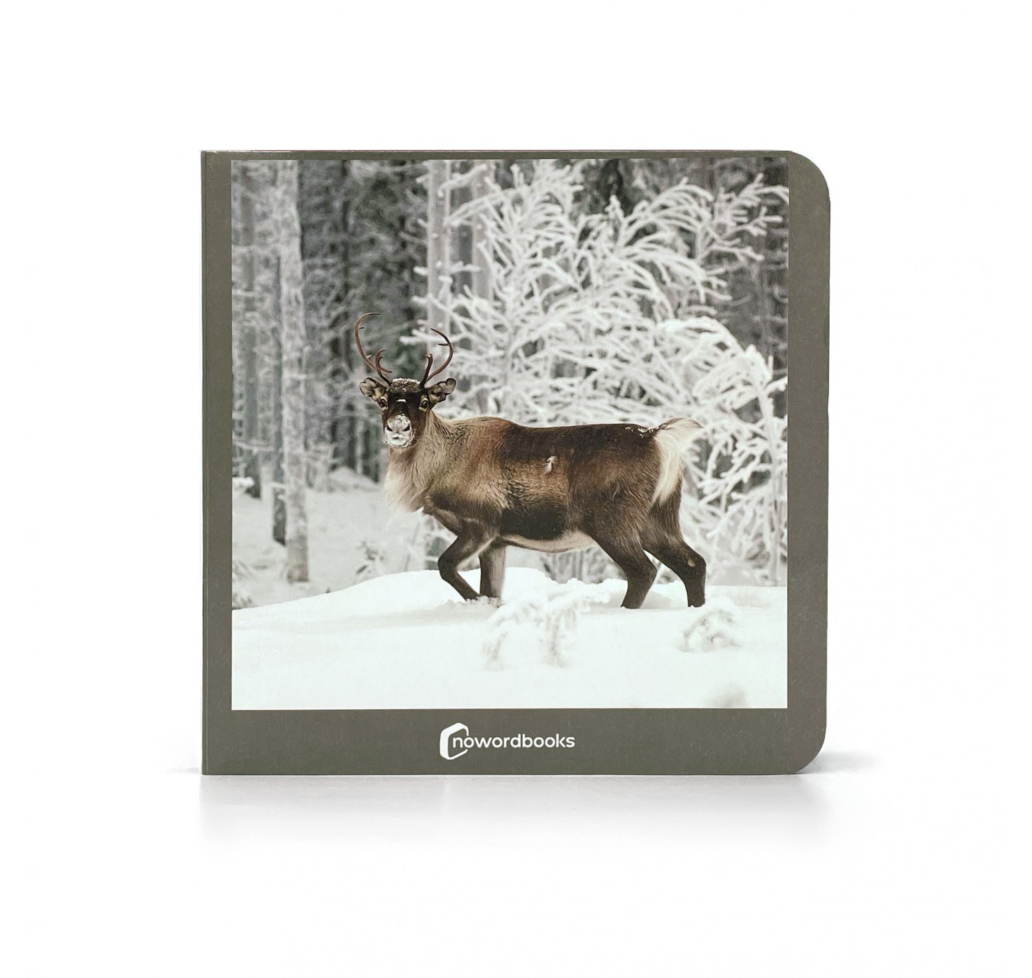 Imagen de  Libro Nowordbooks "Animales Polares" 