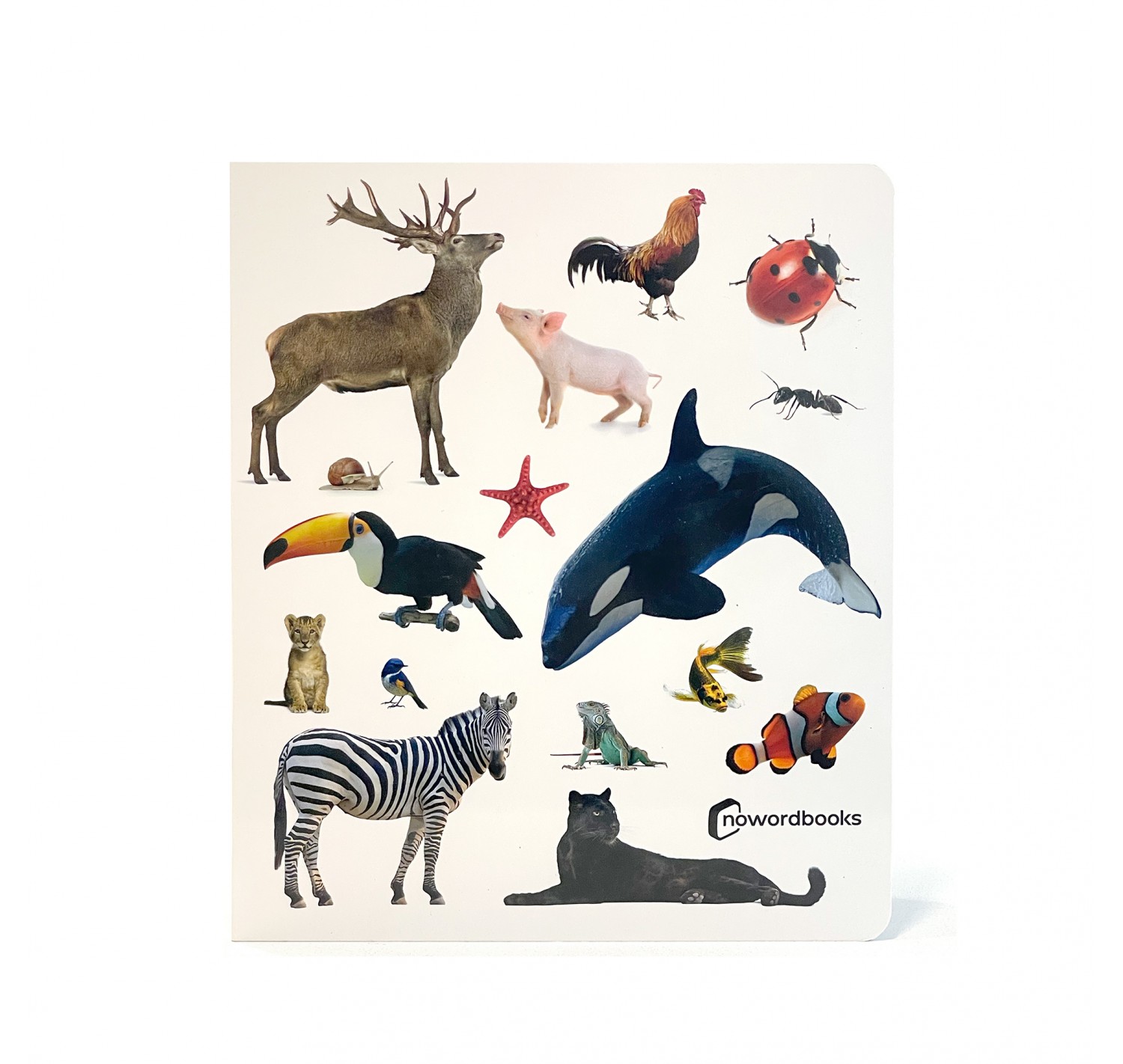 Imagen de ¡Animales!
