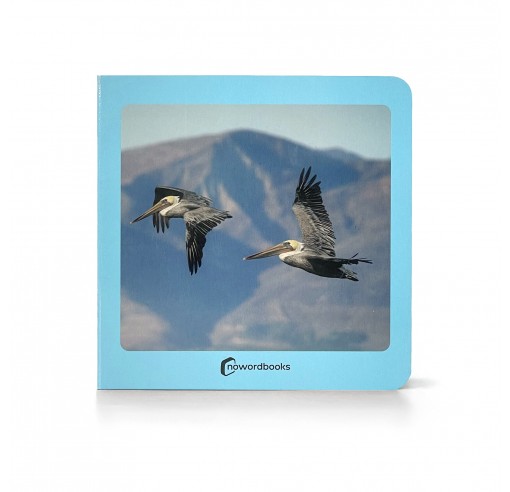 Imagen de Libro Nowordbooks "Aves"