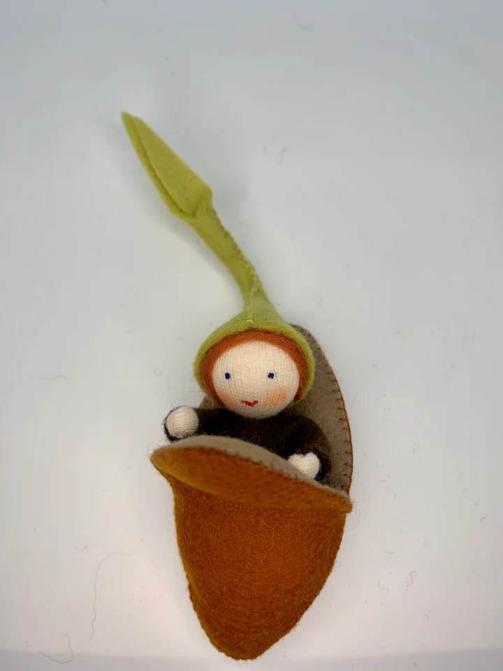 Imagen de Niño Semilla Ambrosius