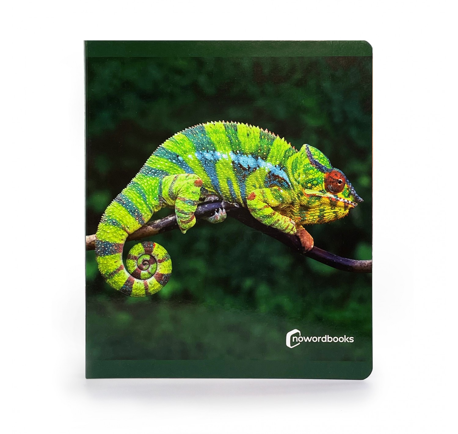 Imagen de Los Animales de la Selva Gran Formato