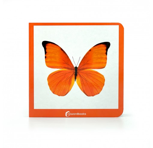 Imagen de Libro Nowordbooks "Naranja"