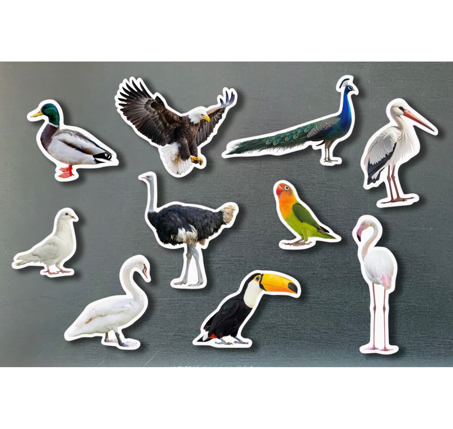 Imagen de Piezas Magnéticas de Bambú de Aves