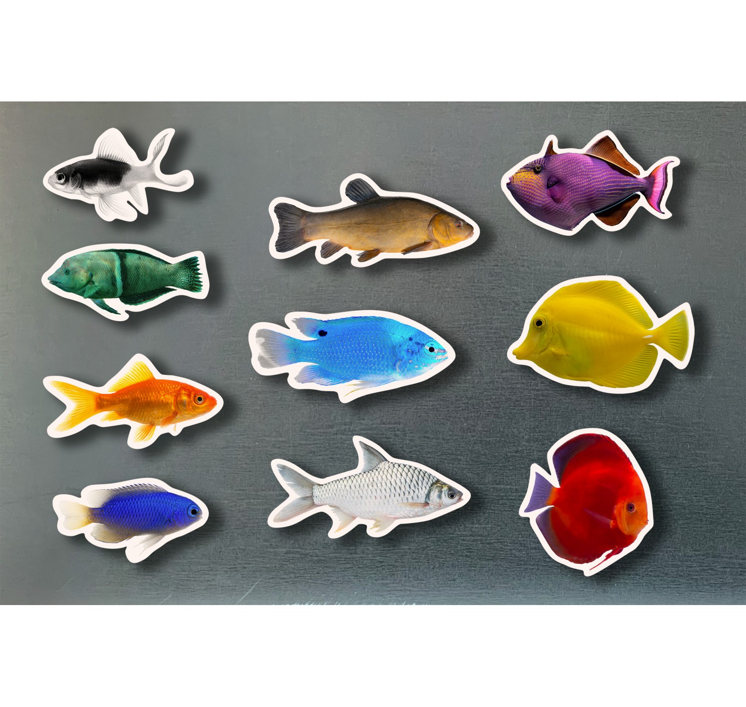 Imagen de Piezas Magnéticas de Bambú de Peces de Colores