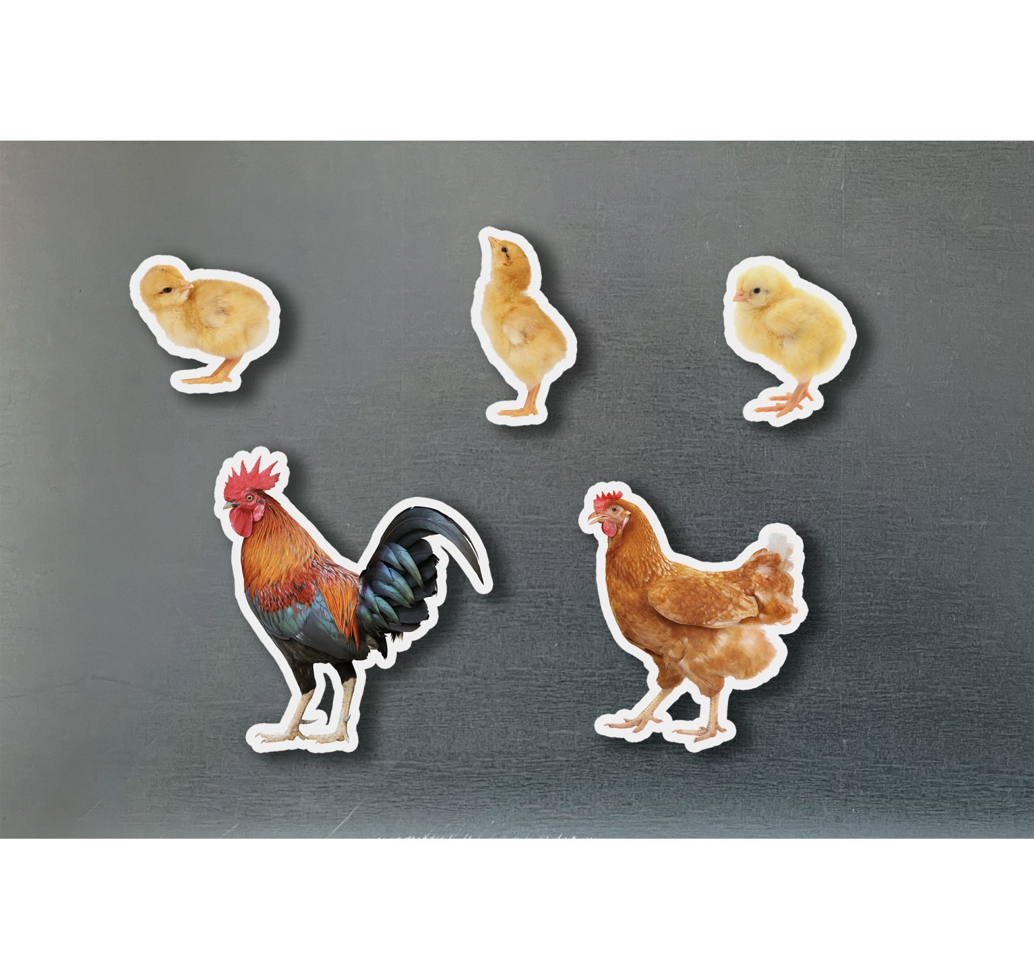 Imagen de Piezas Magnéticas de Bambú Familia Gallinas
